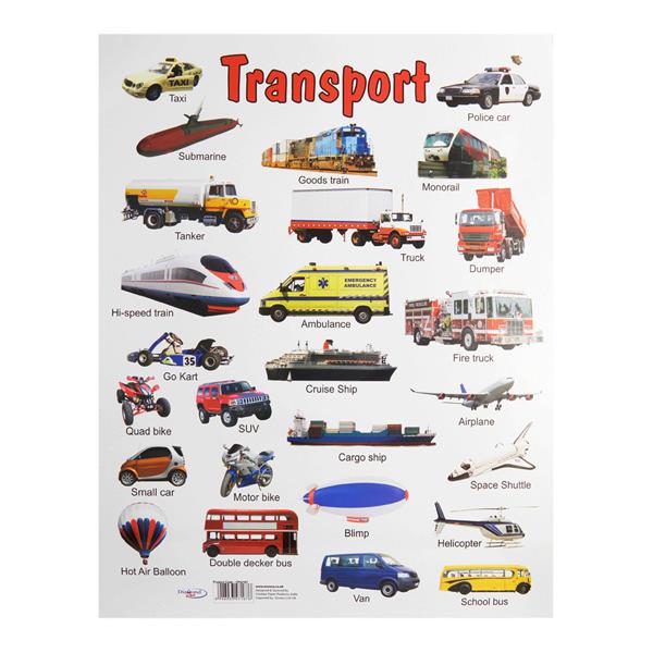 A2 WALL CHARTS 12 ASST