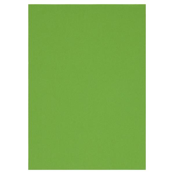 PREMIER ACTIVITY A4 160gsm CARD 50 SHEETS - PARROT